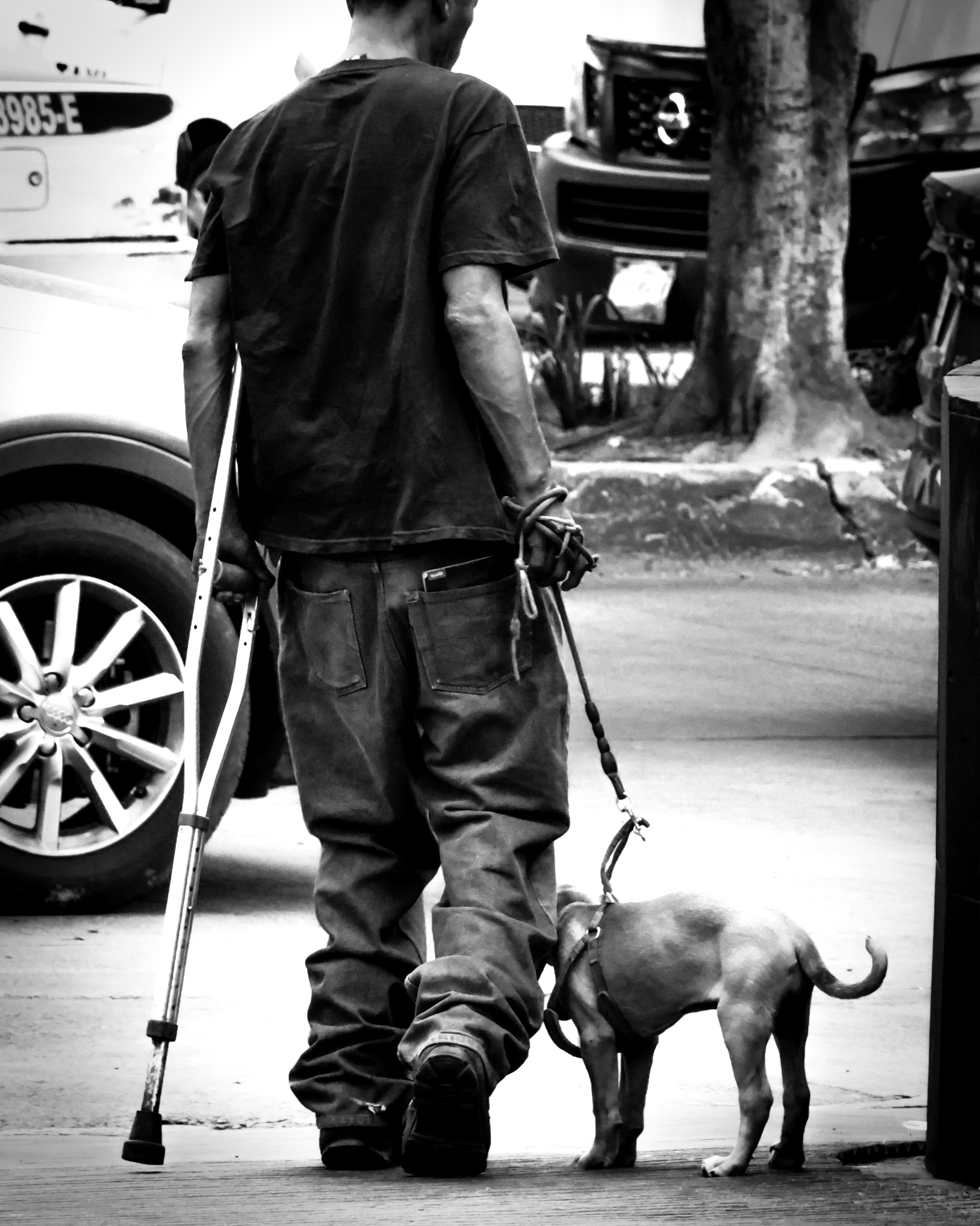 El perro y el hombre