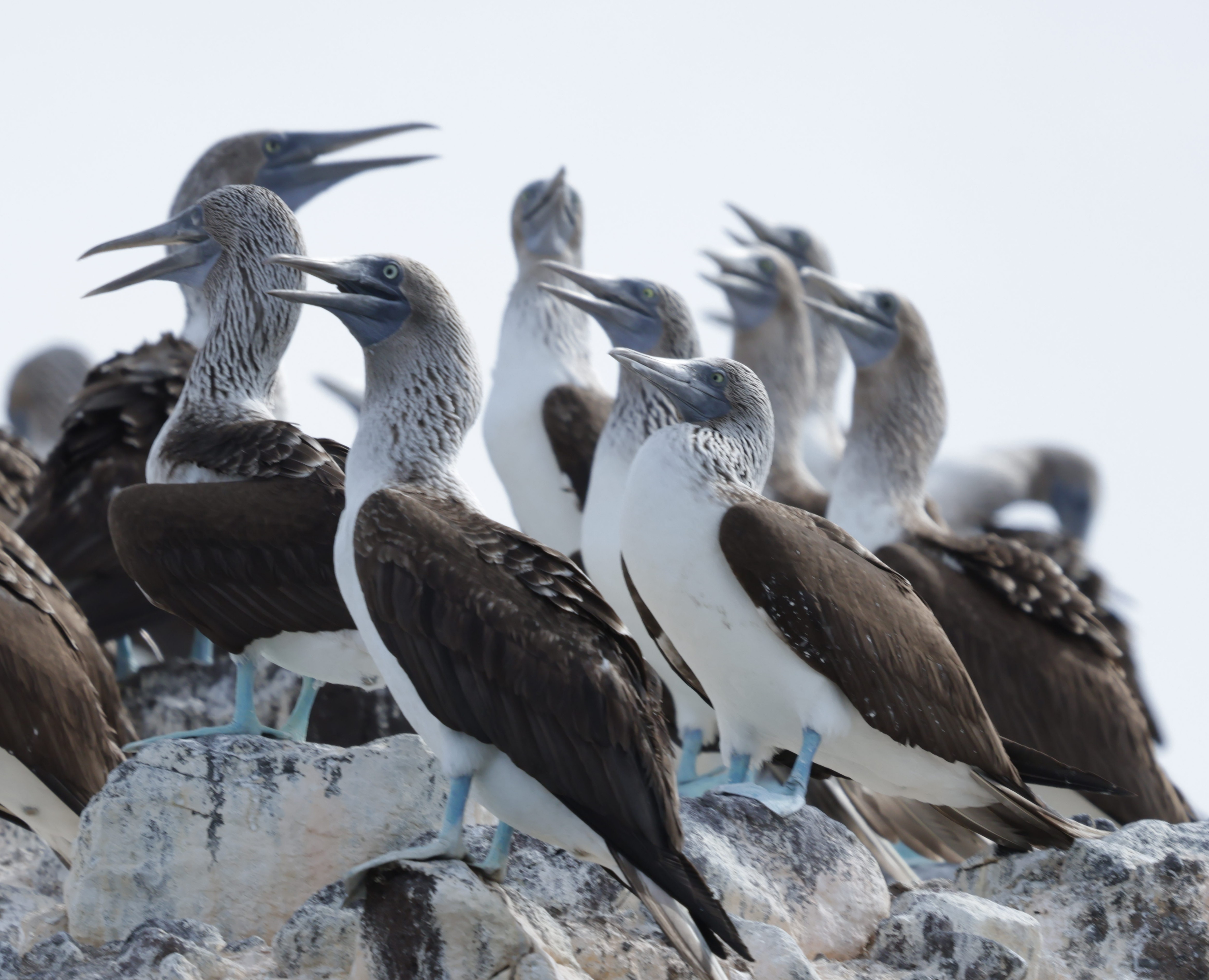 Tienes nuestra atención